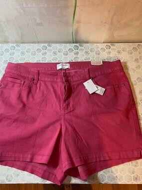 Lane Bryant Hot Pink Cotton Blend Bermuda Shorts